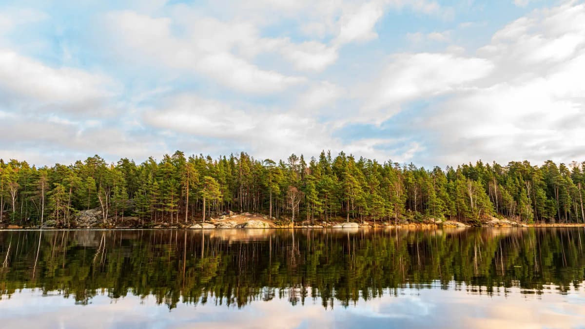 Vi byter ditt FTX-aggregat i Haninge