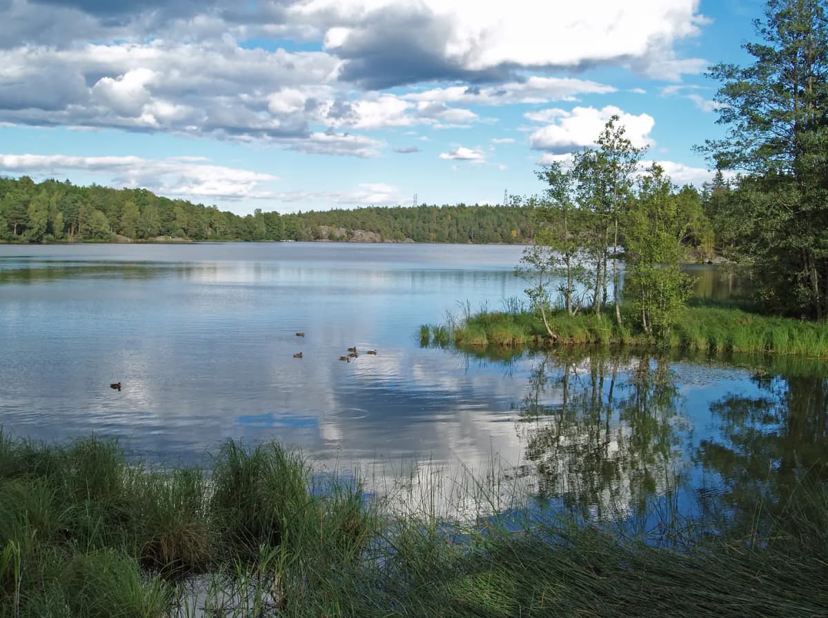 Experter på ventilationsrengöring i Haninge