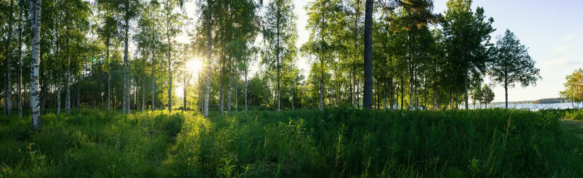 Professionell radonmätning i Haninge